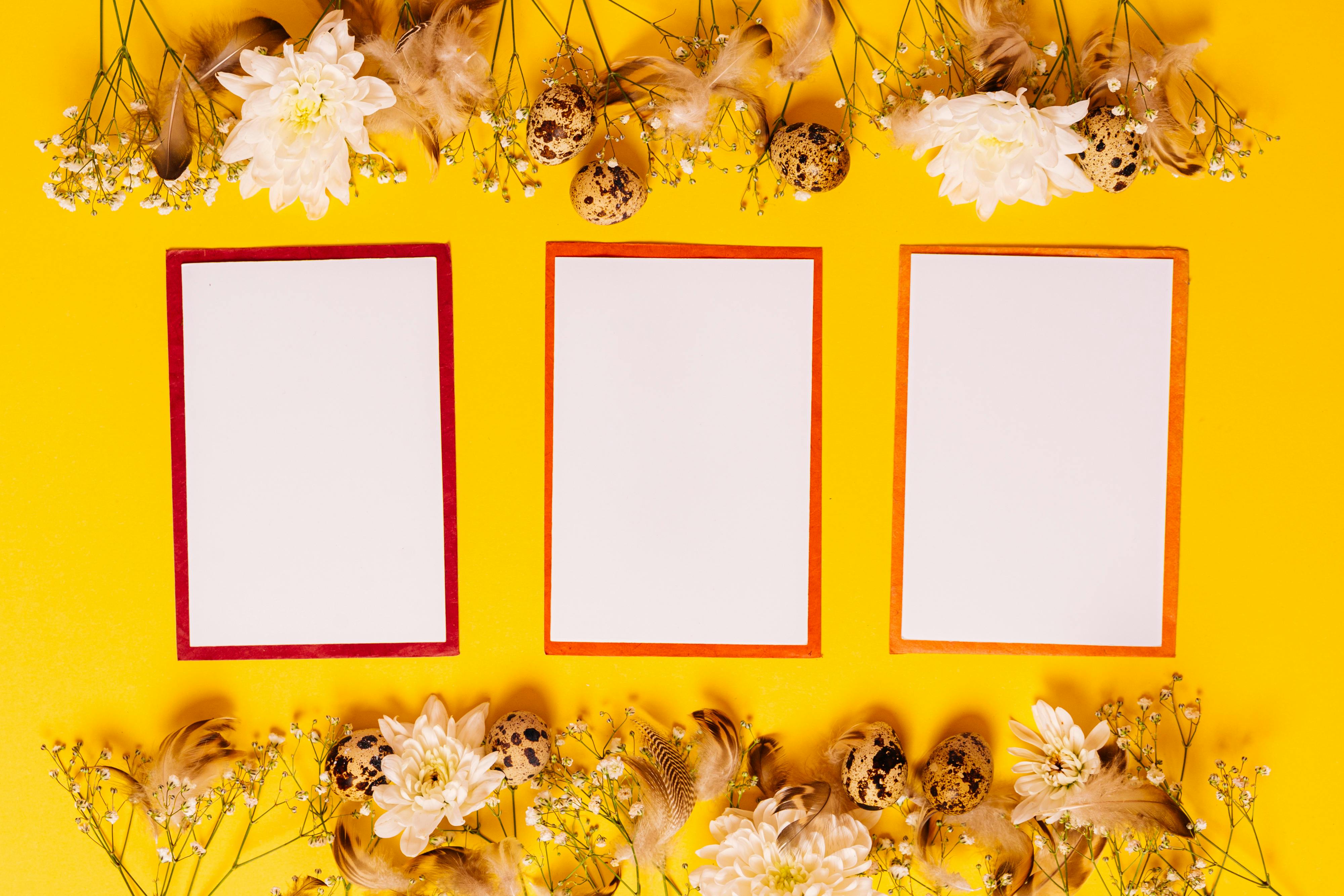 Holiday Greeting Card